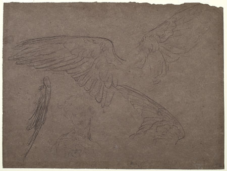 Study for 'Perseus on Pegasus': Wings of Pegasus, Female Figure