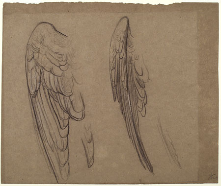 Studies for 'Elijah in the Wilderness': Wings of Angel