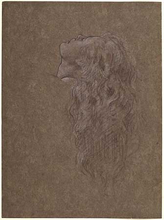 Study for 'Clytie': Female Head