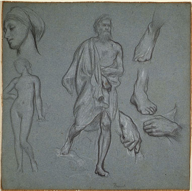 Studies of Male and Female Figures, Female Head, Male Hands, Male Feet