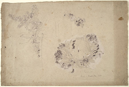 Studies of a Vine and a Head with Wreath