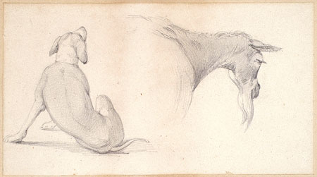 Studies of a Dog and a Mule's Head