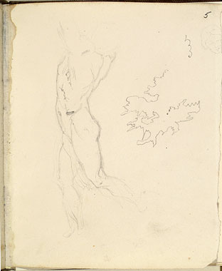 Study of a Male Figure
