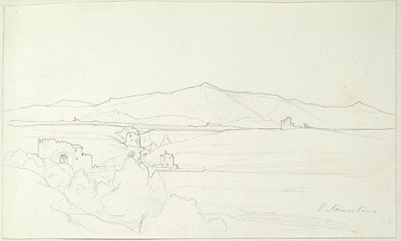 View of a Landscape