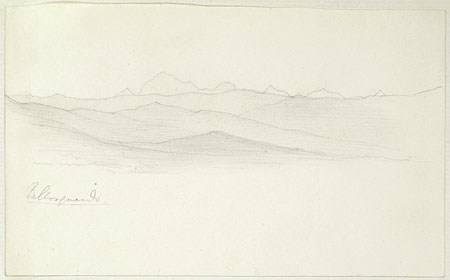 View of a Landscape