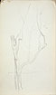 View details of Study of a Tree
