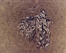 View details of Hair