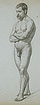 Study of a Male Figure (Life Drawing)