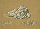 Study for 'Cymon and Iphigenia': Sleeping Female Figures