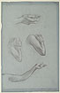 View details of Female Figure, Female Arms, Female Hand