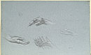View details of Female Hands