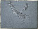 View details of Arm of Icarus, Male Figure