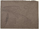 View details of Wings of Pegasus, Female Figure