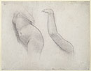View details of Torso of Rhodos, Arm of Rhodos