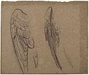 View details of Wings of Angel