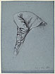 View details of Drapery for Male Figure