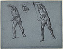 View details of Males Figures