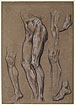 View details of Lower Body, Legs, Feet