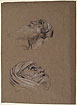 View details of Male Heads
