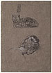View details of Cat, Female Head