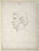Study after a Bust by Antonio Rossellino