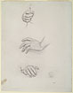 View details of Hands