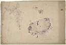 View details of Studies of a Vine and a Head with Wreath