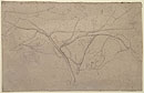Study of a Fig Tree