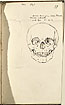 View details of Study of a Human Skull