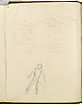 View details of Study of a Donkey and a Figure