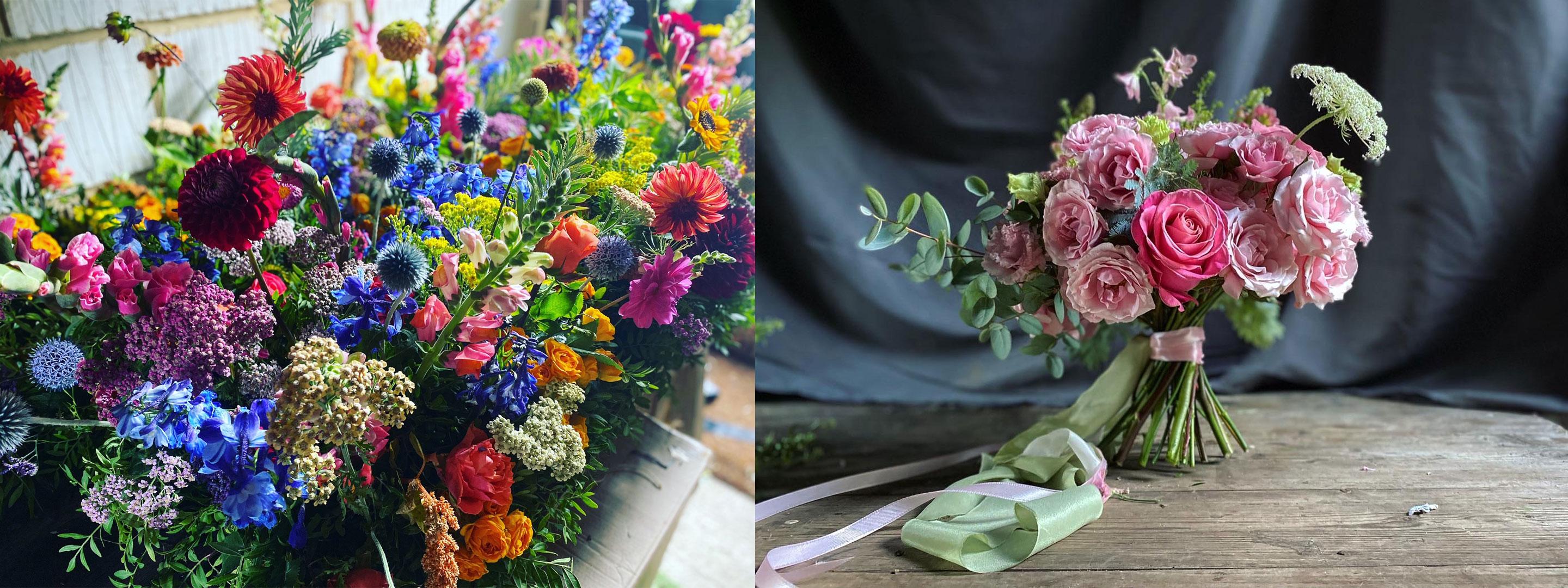 colourful flowers