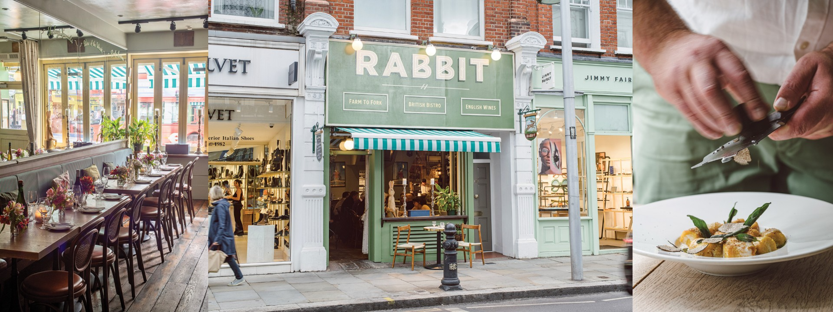 Rabbit Main Image