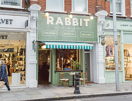 Rabbit Small Image