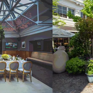 a garden area with plants and a table with chairs