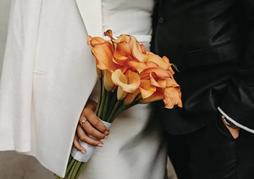 a bunch or orange flowers
