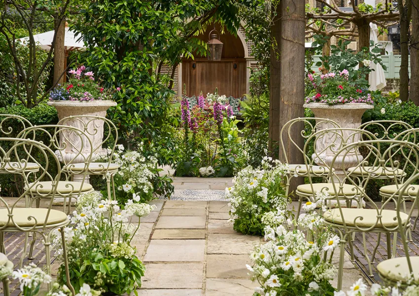 A beautiful garden