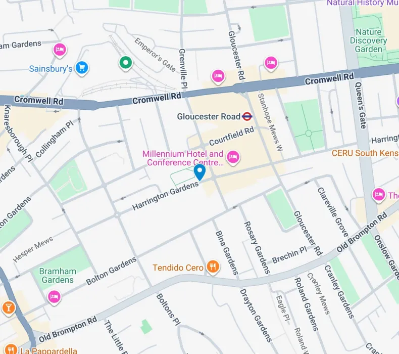 Google map image of the venue's location