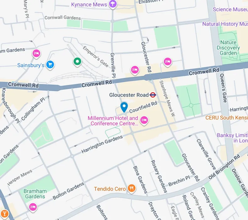 Google map image of the venue's location