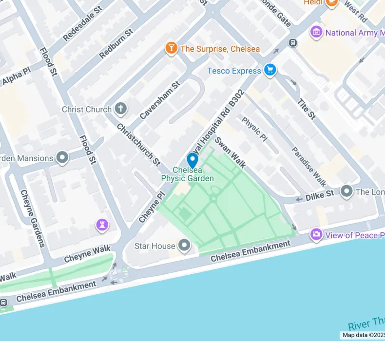 Google map image of the venue's location