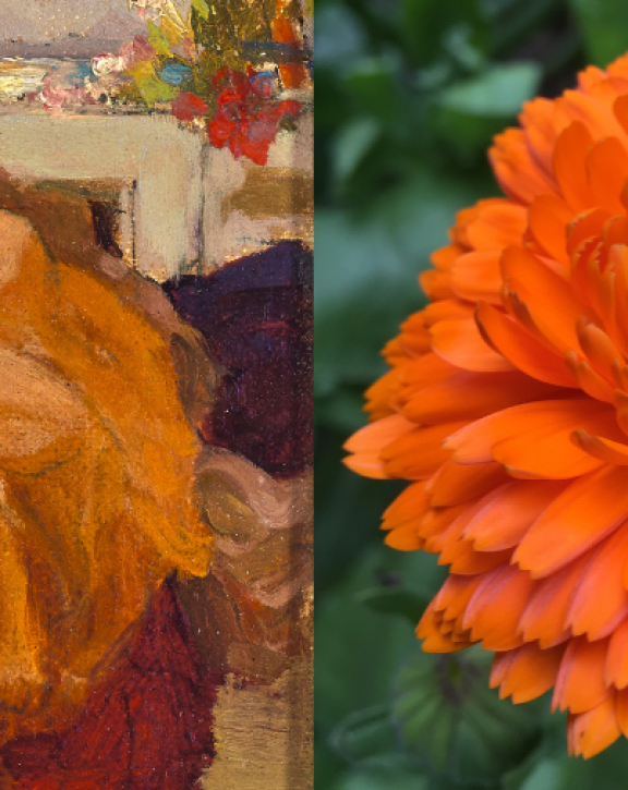 A warm-toned painting of a reclining figure in orange sits beside a close-up photograph of a vibrant orange flower in full bloom.