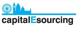 capitalEsourcing logo