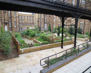 St. Charles community kitchen garden 