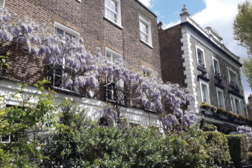 View of Edwardes Square, sowing a row of brick townhouses with vines cascading over the balconies