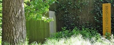 Grass, tree trunk and bushes