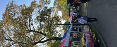 Market stalls with colourful canopies line a sunny park pathway where people browse handmade and second‑hand goods