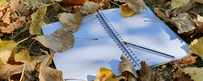 A notepad lying in leaves