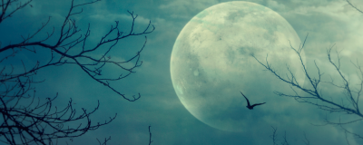 Moon and trees