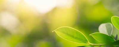 Green Libraries Week: Seeds of change 