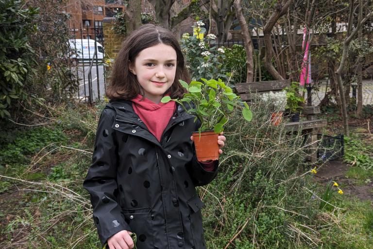 Children enjoying the Nature Connectedness Day at Cremorne Gardens