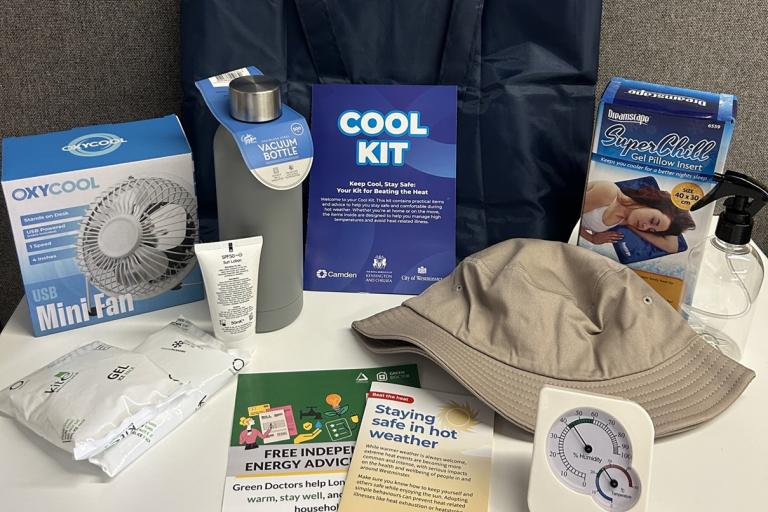Image of some of the contents of a cool kit